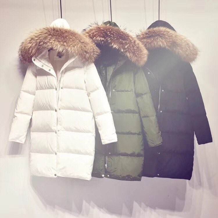 ��q��Ʒ�z�y